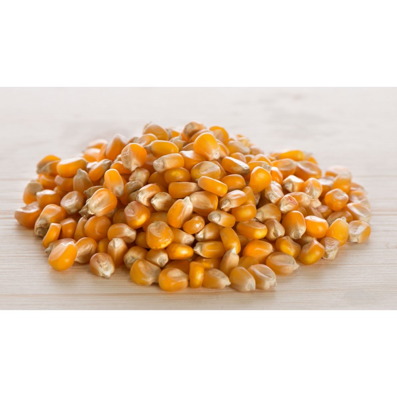 Yellow corn flour Pastaria Hub