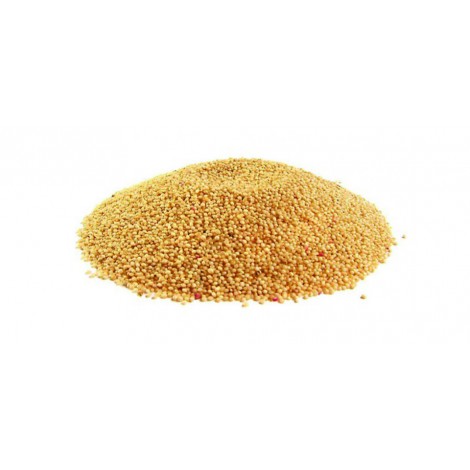 Amaranth grains